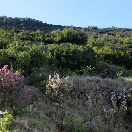 Vila Luxury Villa With A Swimming Pool Vis - 8922 *
