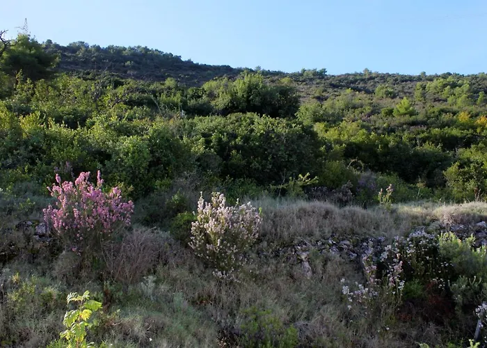 Villa Luxury With A Swimming Pool - 8922 *