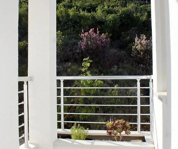 Luxury Villa With A Swimming Pool Vis - 8922 Villa